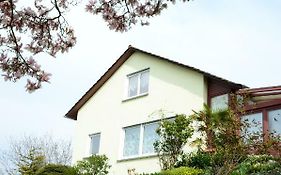 Ferienwohnung Rheinblick