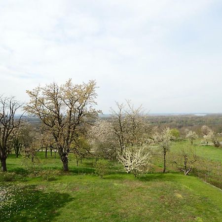 Ferienwohnung Rheinblick Bad Bellingen Buitenkant foto