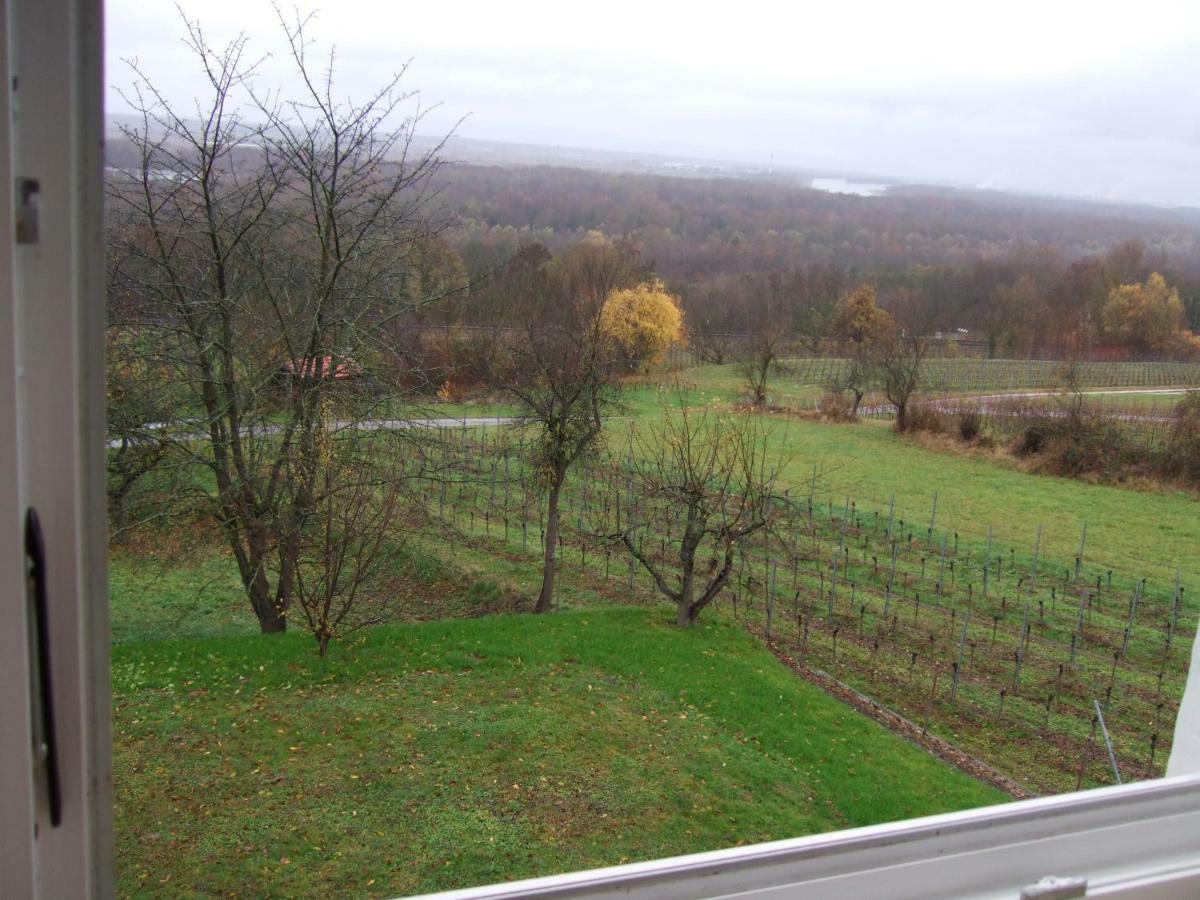 Ferienwohnung Rheinblick Bad Bellingen Buitenkant foto