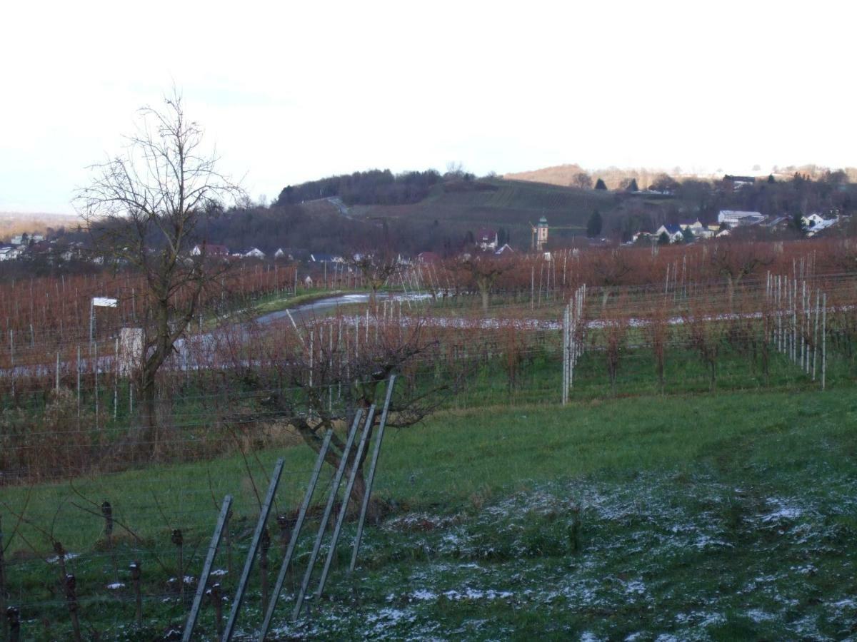 Ferienwohnung Rheinblick Bad Bellingen Buitenkant foto